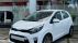 Giá xe Kia Morning lăn bánh cuối tháng 8/2024 ‘rẻ như cho’, quyết tâm đại chiến Hyundai Grand i10