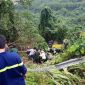 Xe khách rơi trên đèo Hải Vân, 23 người bị nạn