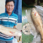 Cá lạ nặng 5kg ở Quảng Ngãi, trả 150 triệu chưa bán