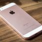 Apple xả hàng iPhone SE với mức giá chỉ từ 6 triệu đồng