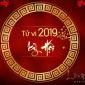 Địa chỉ xem tử vi năm 2019 trên mạng