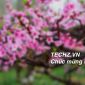 TECHZ.VN CHÚC MỪNG NĂM MỚI! 