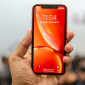iPhone XR mất giá chục triệu đồng chỉ sau nửa năm