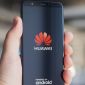 Ngày mai, Huawei bắt đầu phản công Mỹ