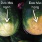 Cách chọn dưa hấu chuẩn ngọt lừ, không tiêm nước