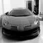 Đại gia Phan Dũng lặng lẽ đưa Lamborghini Aventador SVJ hàng hiếm cập cảng