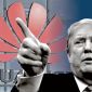 Một câu nói của ông Trump khiến Huawei bay mất 10 tỷ USD