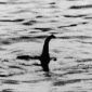 Các nhà khoa học hé lộ bí mật giải mã quái vật hồ Loch Ness