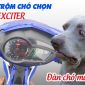 Vì sao Yamaha Exciter 150 lại mang tiếng xấu là ‘xe trộm chó’?