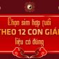 Chọn sim phong thủy hợp tuổi theo 12 con giáp liệu có đúng?