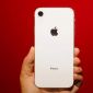 iPhone XR giảm giá chỉ còn 6,6 triệu đồng tại thị trường Việt Nam