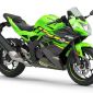 Kawasaki Ninja 150cc chuẩn bị ra mắt với giá rẻ, quyết đánh bại Honda CBR150R và Yamaha YZF-R1
