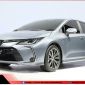 Toyota Việt Nam mang tin vui cực lớn cho người dùng Việt sau dịp Tết nguyên đán