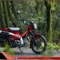 'Thợ săn' Honda Super Cub 125 gây bão giới yêu xe với giá siêu hấp dẫn