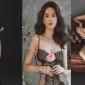 Ngọc Trinh trổ tài trèo cây nhanh thoăn thoắt hái cả rổ mận khiến dân mạng ngỡ ngàng