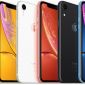 iPhone XR bắt sóng kém, người dùng đâm đơn kiện Apple