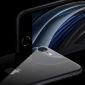 Điểm tin công nghệ hot nhất ngày 16/4: iPhone SE 2020 trình làng, cách tải game Call Of Duty Mobile