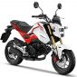 Honda MSX 125 2020 mới sẽ có thêm phanh ABS khiến fan Exiciter cũng phát thèm