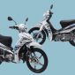 4 mẫu xe số rẻ nhất hiện nay khiến bạn không thể bỏ qua