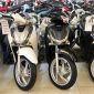 Honda SH 150 2019 đối đấu Honda SH 150 2020: Bản mới chắc gì đã ngon