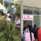 Cây phượng bật gốc đè trúng 13 học sinh lớp 6, xót xa khi một em đã tử vong