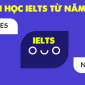 Có nên học IELTS khi đang học Đại học?