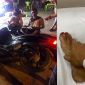 Tin nóng tối 1/6: Trấn Thành tới nhà cô gái vu khống anh, Ngân 98 và Lương Bằng Quang bị vây đánh
