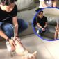 Hiếm ai yêu mèo như Trấn Thành: Đi xử lý kẻ bôi nhọ mình vẫn hành động đáng yêu với 'Hoàng thượng'