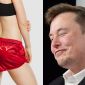 Tesla nổi hứng bán quần đùi đỏ giá 1,6 triệu đồng một chiếc