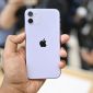 iPhone 11 xách tay giá rẻ tràn về Việt Nam, nhưng đây là lí do khách hàng không nên mua!