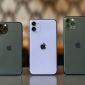 iPhone 12 vừa ra mắt, giá iPhone 11 lập tức giảm xuống mức ký lục