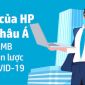 Nghiên cứu của HP: Doanh nghiệp vừa và nhỏ Việt lạc quan về sự phục hồi kinh tế hậu COVID-19