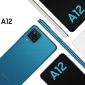 Galaxy A12 và Galaxy A02s ra mắt tại Việt Nam, giá chỉ từ 3.2 triệu