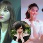 Top scandal từng gây ‘chấn động’ showbiz: Ấn tượng nhất vẫn là ồn ào của Hà Hồ, Hari Won và Hải Tú