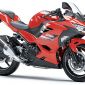 Kawasaki Ninja 250 2021 trình làng với diện mạo đẹp ngất ngây, giá ngang ngửa Honda SH 150