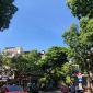 Dự báo thời tiết ngày 24/2: Cả nước trời khô ráo, chỉ có một vài nơi có sương mù, trời mưa nhỏ