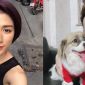 Trang Khàn trần tình khi bị công an mời lên làm việc, ẩn ý nói về chuyện từ thiện của Hoài Linh