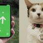 Có nên mua AirTags để theo dõi thú cưng và trẻ em?