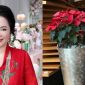 Bà Phương Hằng bị kiện 1000 tỷ đồng vì livestream, CĐM có động thái gây hoang mang