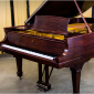 Sức hấp dẫn từ tiếng đàn Piano Grand - Piano Đức Trí