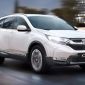 Honda CR-V giảm sốc 90 triệu đồng ‘vượt mặt’ Toyota Fortuner, Mazda CX-5, khách Việt mua ngay kẻo lỡ