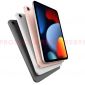 Xuất hiện concept iPad Mini 2021 cực kỳ hấp dẫn