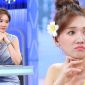 Hari Won bị CĐM chỉ trích nặng nề vì ẩn ý nói đến sự việc cô gái đưa mèo đi khám