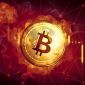 Giá Bitcoin hôm nay 23/11: Bitcoin giảm mạnh, lao dốc không phanh
