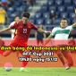 Nhận định bóng đá Indonesia vs Việt Nam 19h30 ngày 15/12 - AFF Cup 2021: Giành vé vào Bán kết?