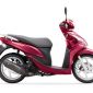 Chiếc Honda Vision 'gây bão' với giá chỉ 12 triệu, rẻ hơn Yamaha Sirius mới 2021 tận 8 triệu