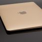 Hướng dẫn tắt tự khởi động máy MacOS khi mở màn hình