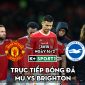 Trực tiếp bóng đá MU vs Brighton; Link xem trực tiếp MU vs Brighton K+ FULL HD