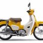 Tin xe hot 5/3: Tiểu Honda Super Cub C125 trình làng với giá bán khiến Honda Wave Alpha ‘bật ngửa’