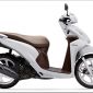 'Ngẩn ngơ' trước chiếc Honda Vision rao bán giá chỉ 12 triệu, rẻ hơn Yamaha Sirius mới tận 7 triệu